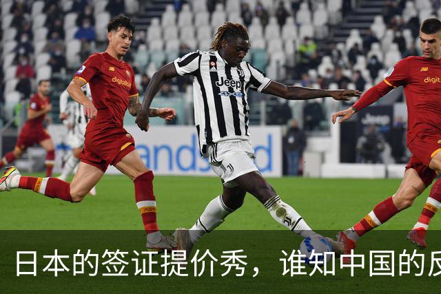 日本的签证提价秀，谁知中国的反击妙手在后